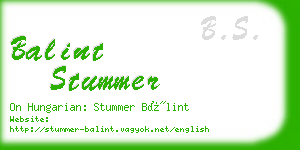 balint stummer business card